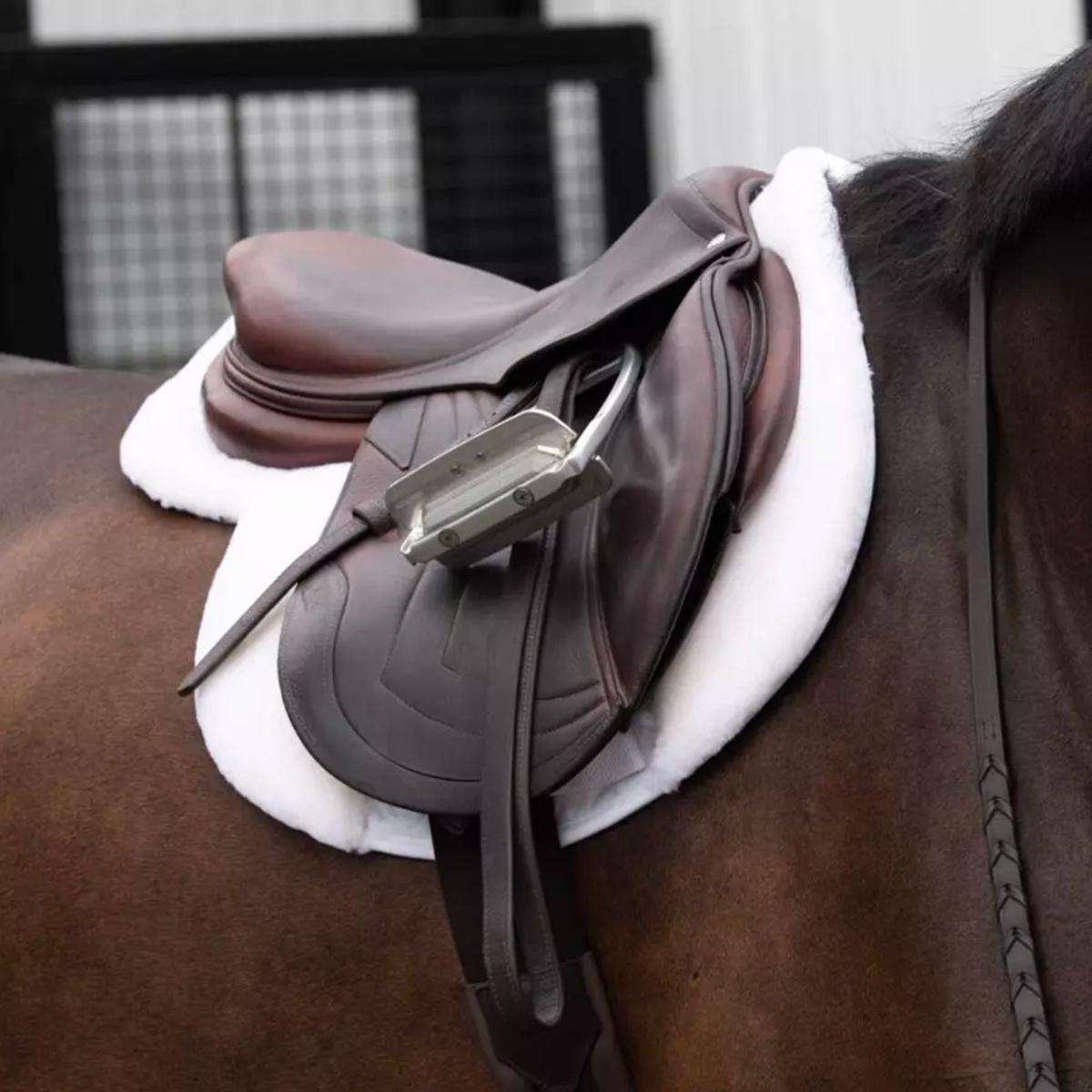 ThinLine The Link Hunter Pad