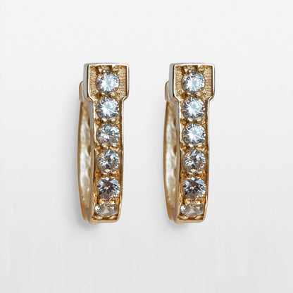 Urban Equestrian  Colton - Diamond Cut Horseshoe Coin Earring in Gold