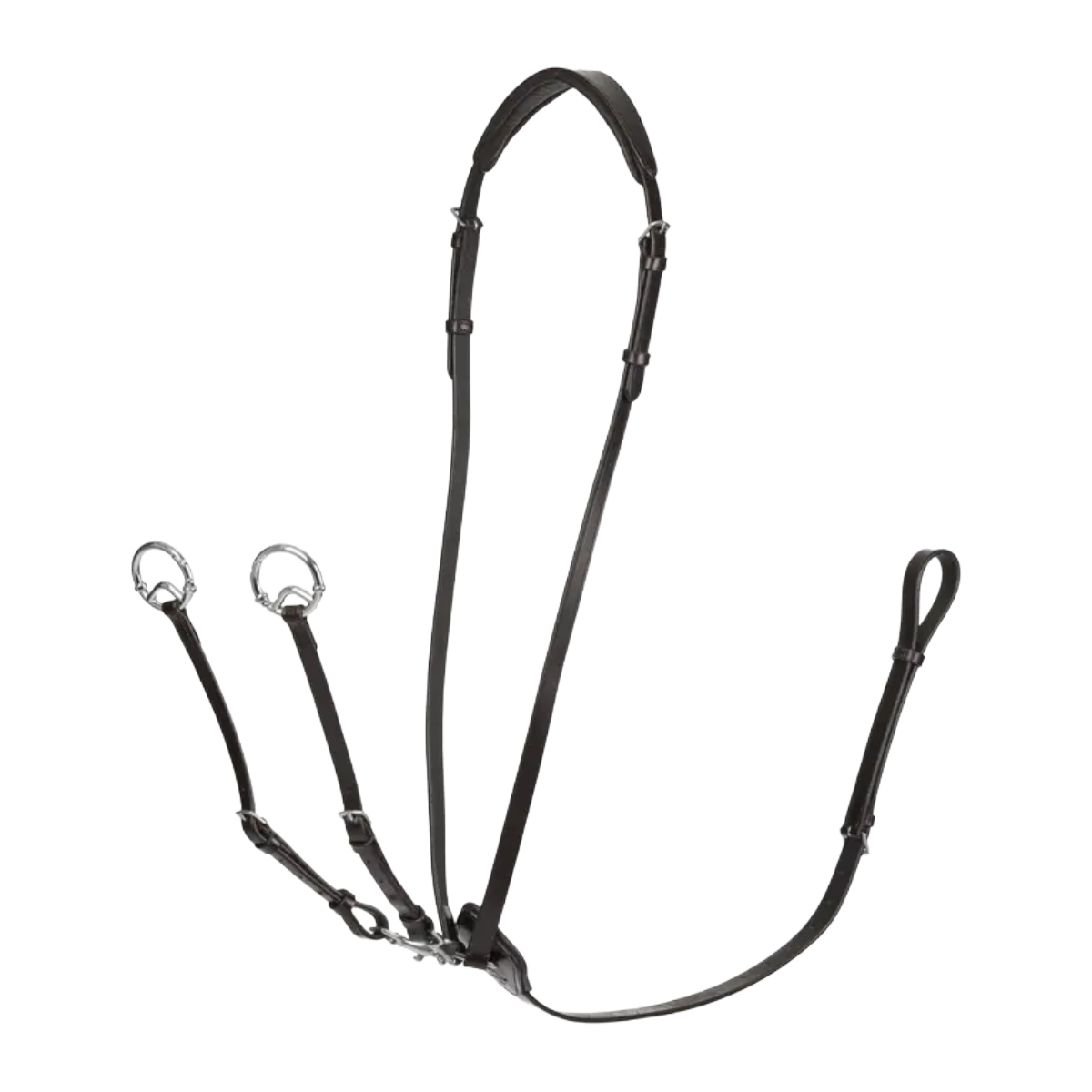 LeMieux Kudos Running Martingale