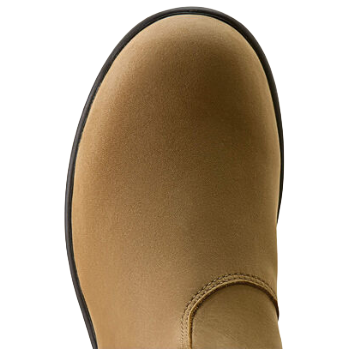 Ariat Women's Cooper Chelsea Boot-natural taupe-top view