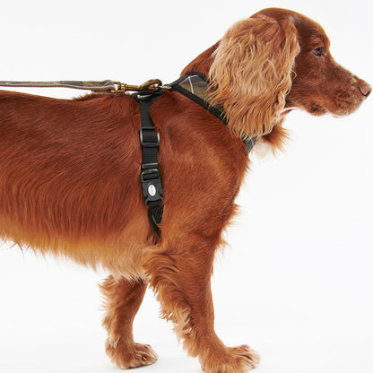 Barbour Tartan Dog Harness