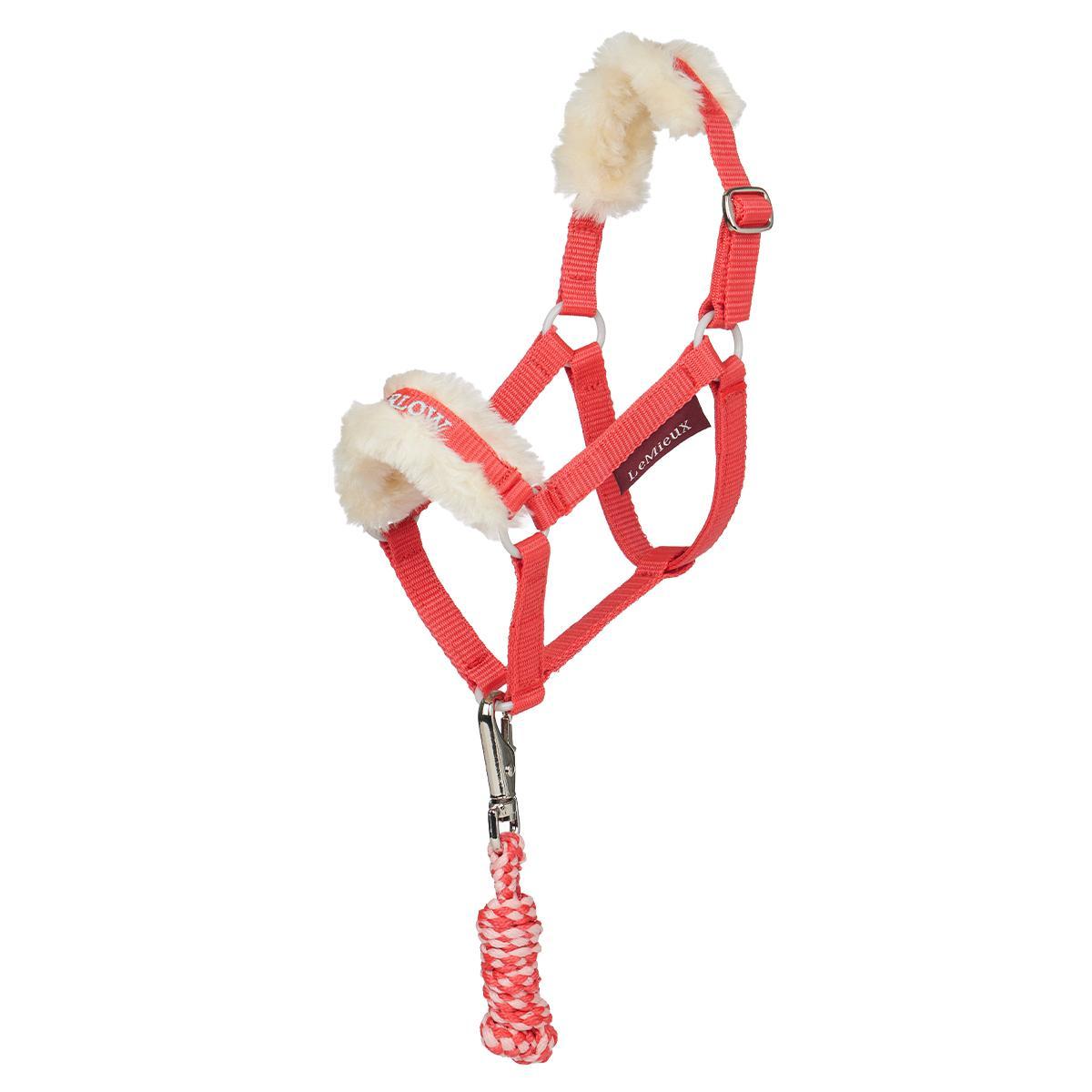 LeMieux Harlow Hobby Horse Headcollar & Leadrope