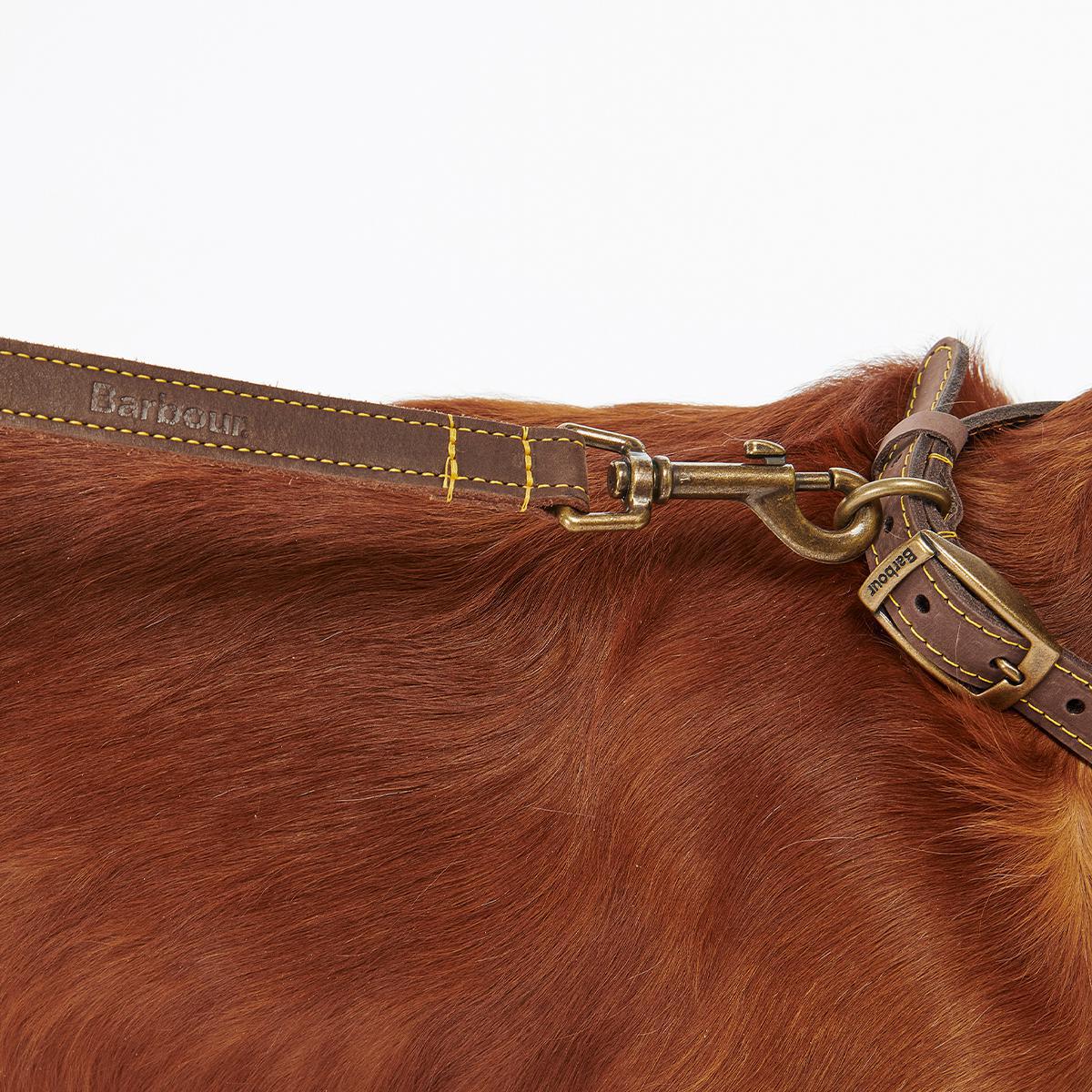 Barbour Leather Dog Lead