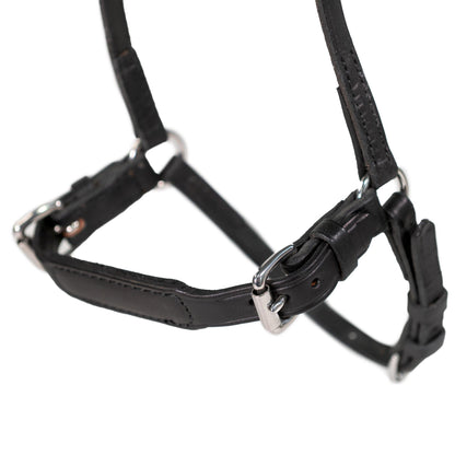 Nunn Finer Adjustable Drop Noseband