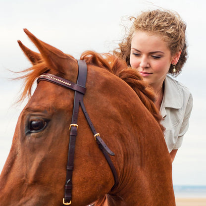 Urban Equestrian  Dorado - Horseshoe Coin Earring in Gold