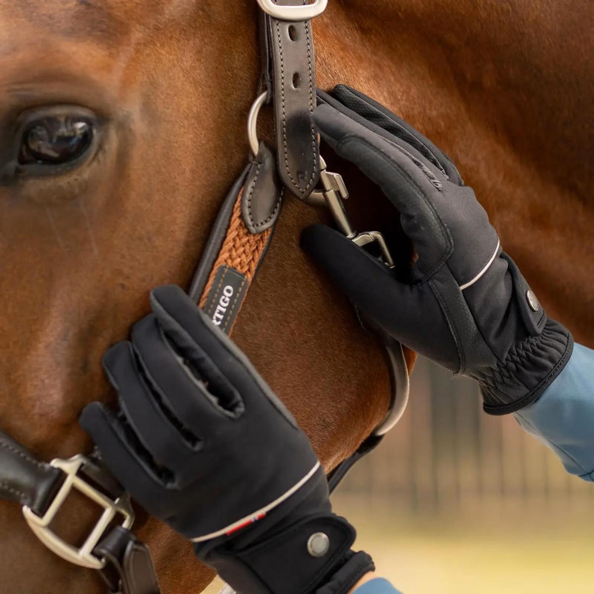 Equinavia B Vertigo Rahel Thinsulate Winter Riding Gloves