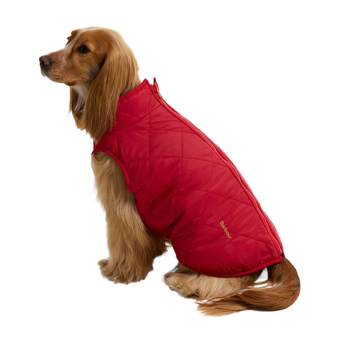 Barbour Field Reversible Dog Coat