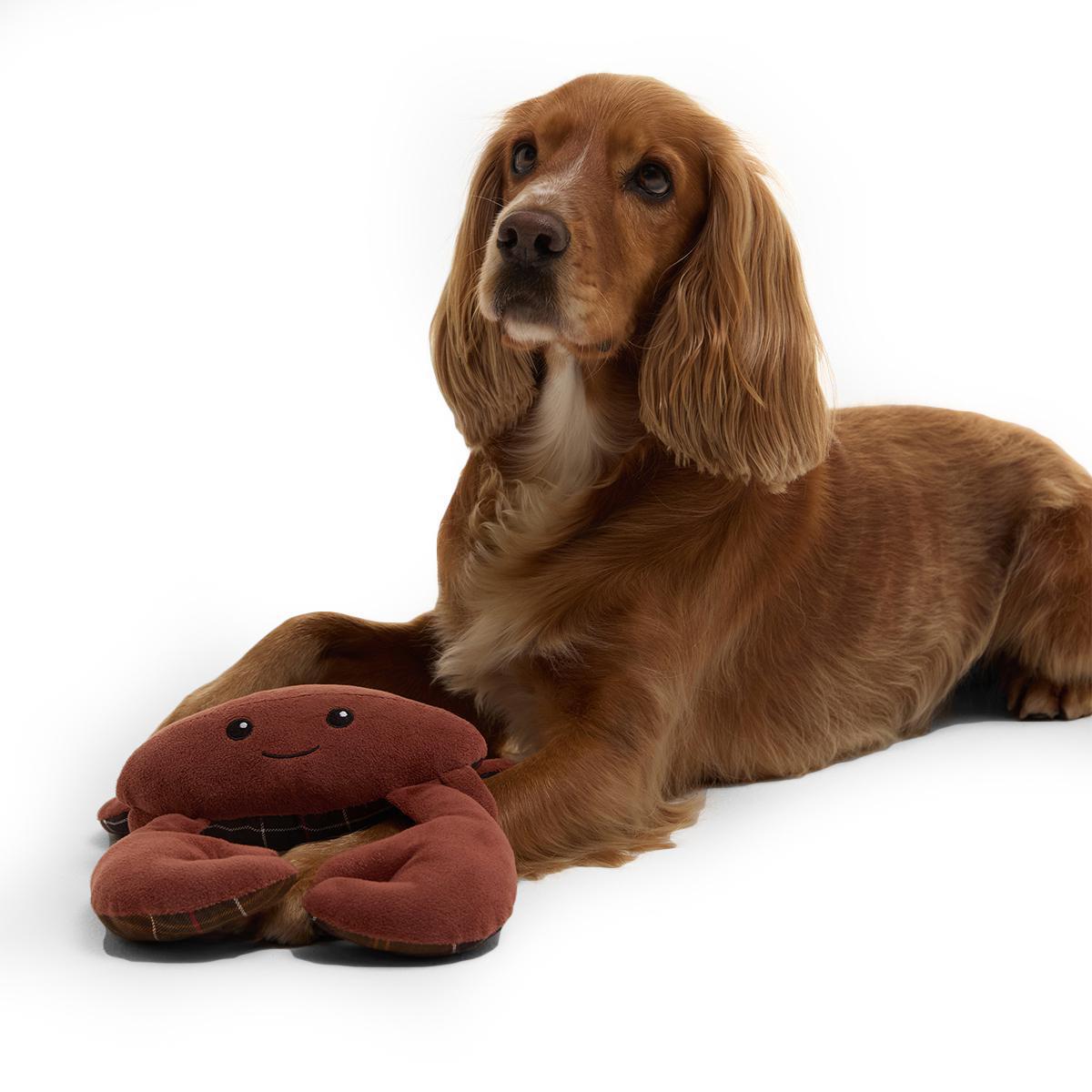 Barbour Crab Dog Toy