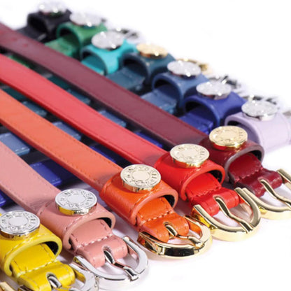 Vogel Rainbow Bracelet