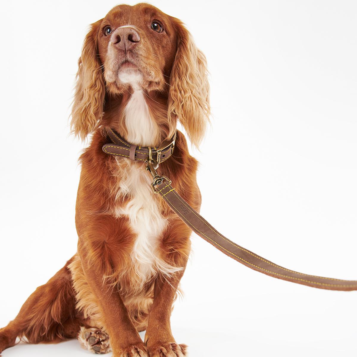 Barbour Leather Dog Lead