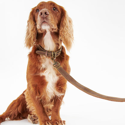 Barbour Leather Dog Lead