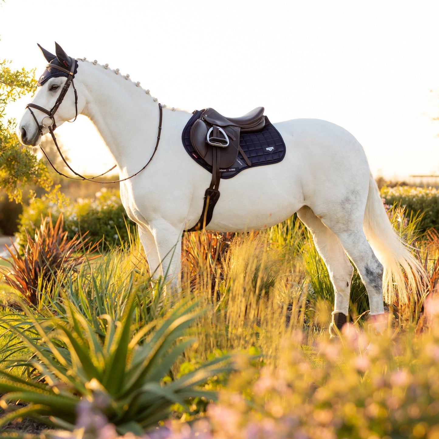 LeMieux Loire Classic Close Contact Square Saddle Pad
