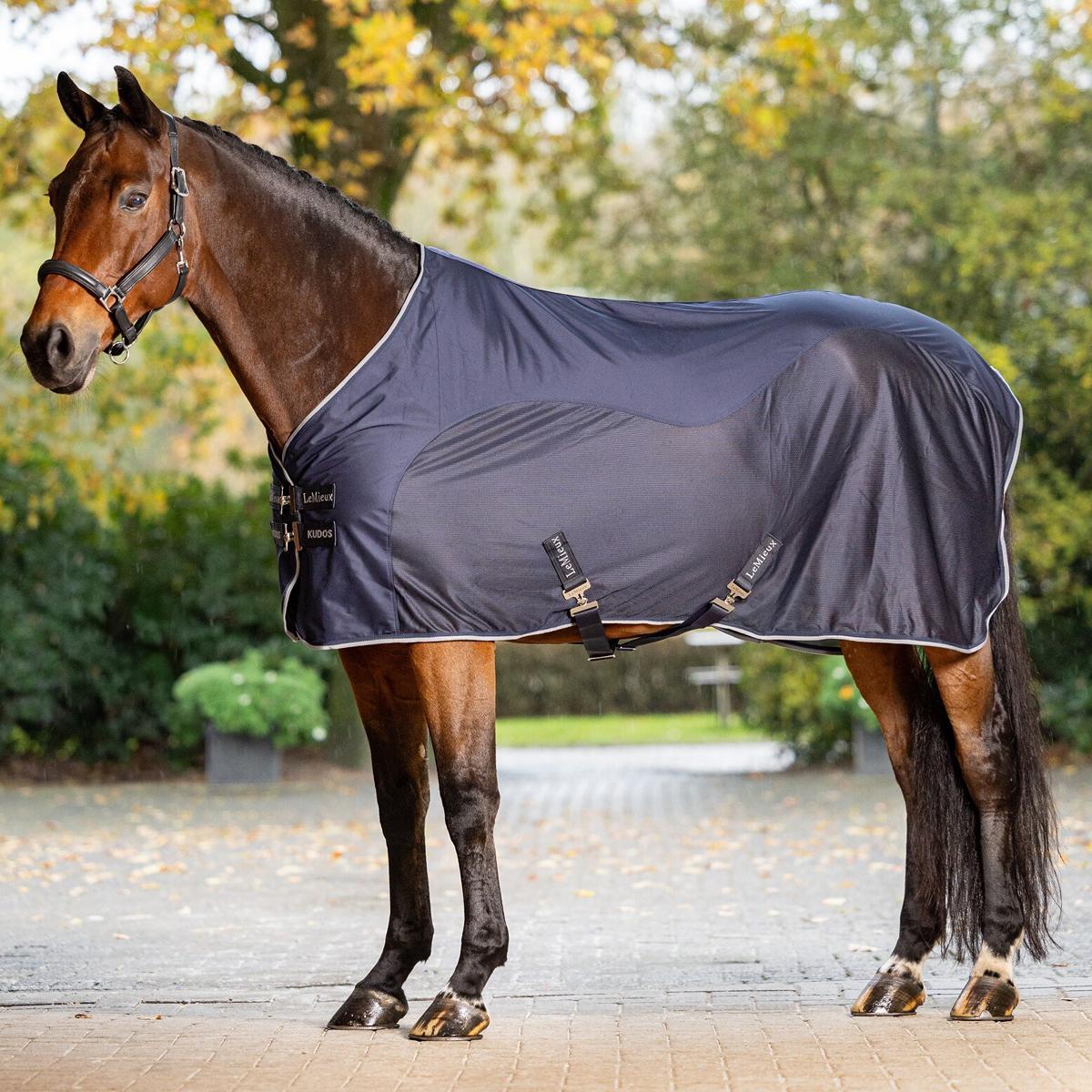 LeMieux Kudos Hybrid Cooler Blanket