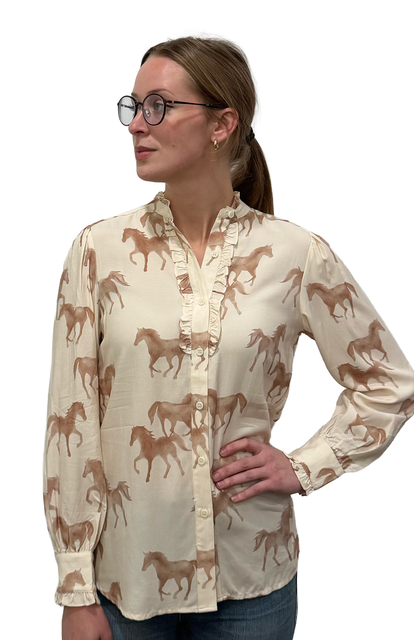 Ariat Women's Cricklade Long Sleeve Blouse