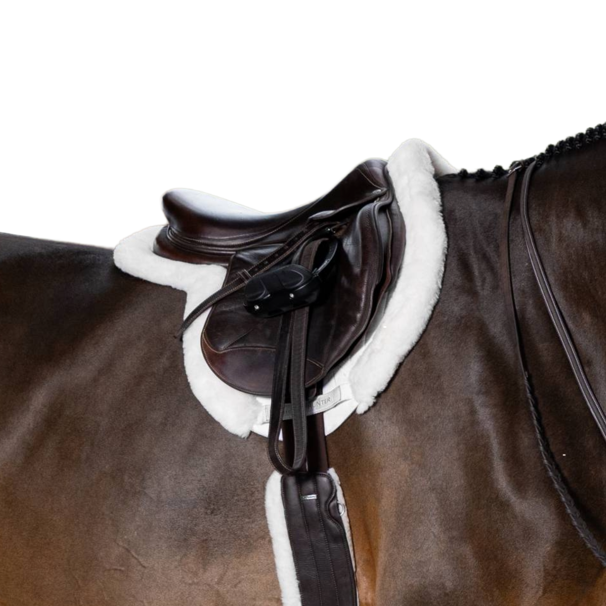LeMieux Merino+ ProSorb Hunter Pro Saddle Pad