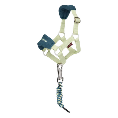 LeMieux Toy Pony Vogue Headcollar with Lead Rope
