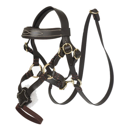 LeMieux Toy Pony Grackle Bridle