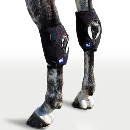 Ice Horse Hock Wraps