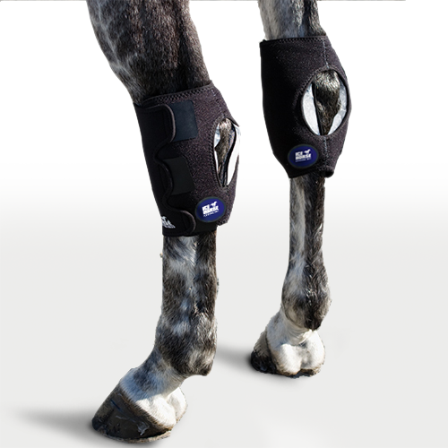 Ice Horse Hock Wraps