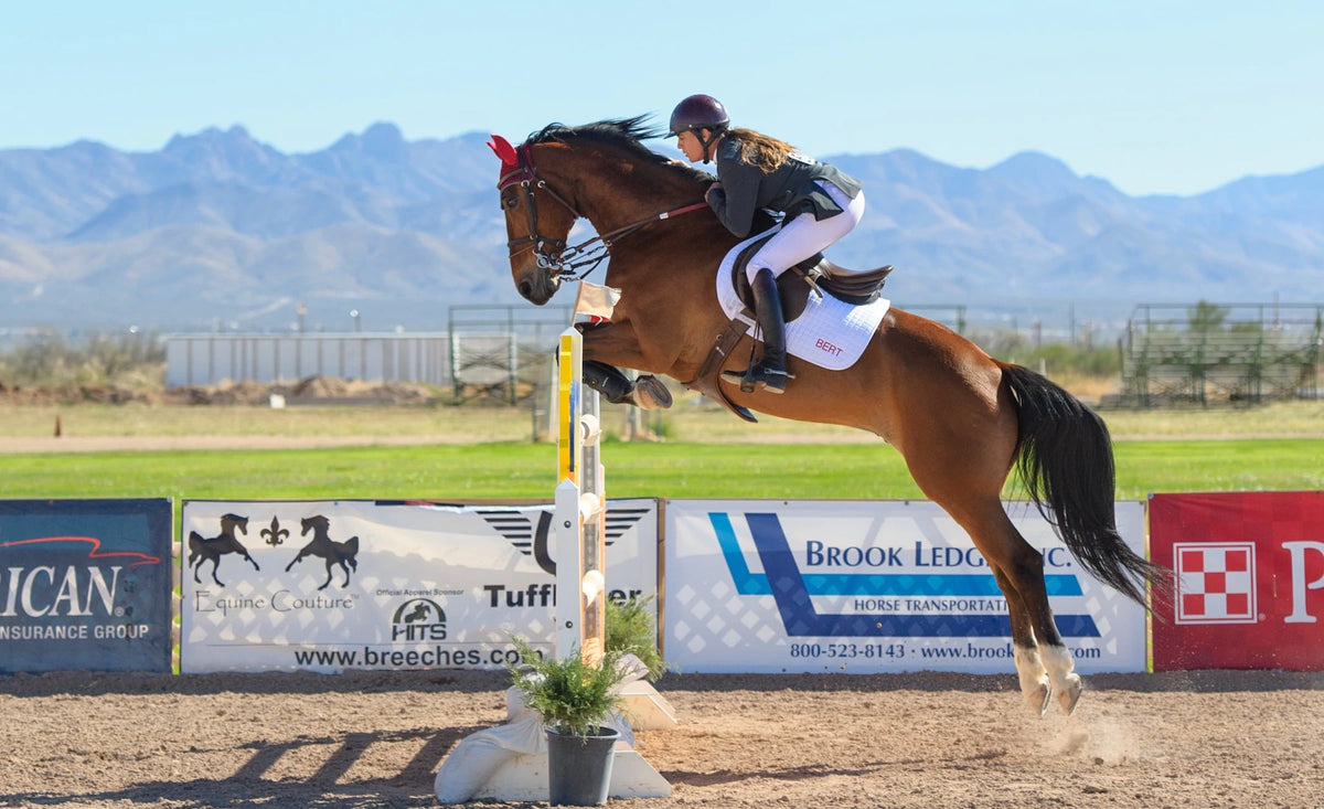 Events Tacks Eventing Tack & Apparel