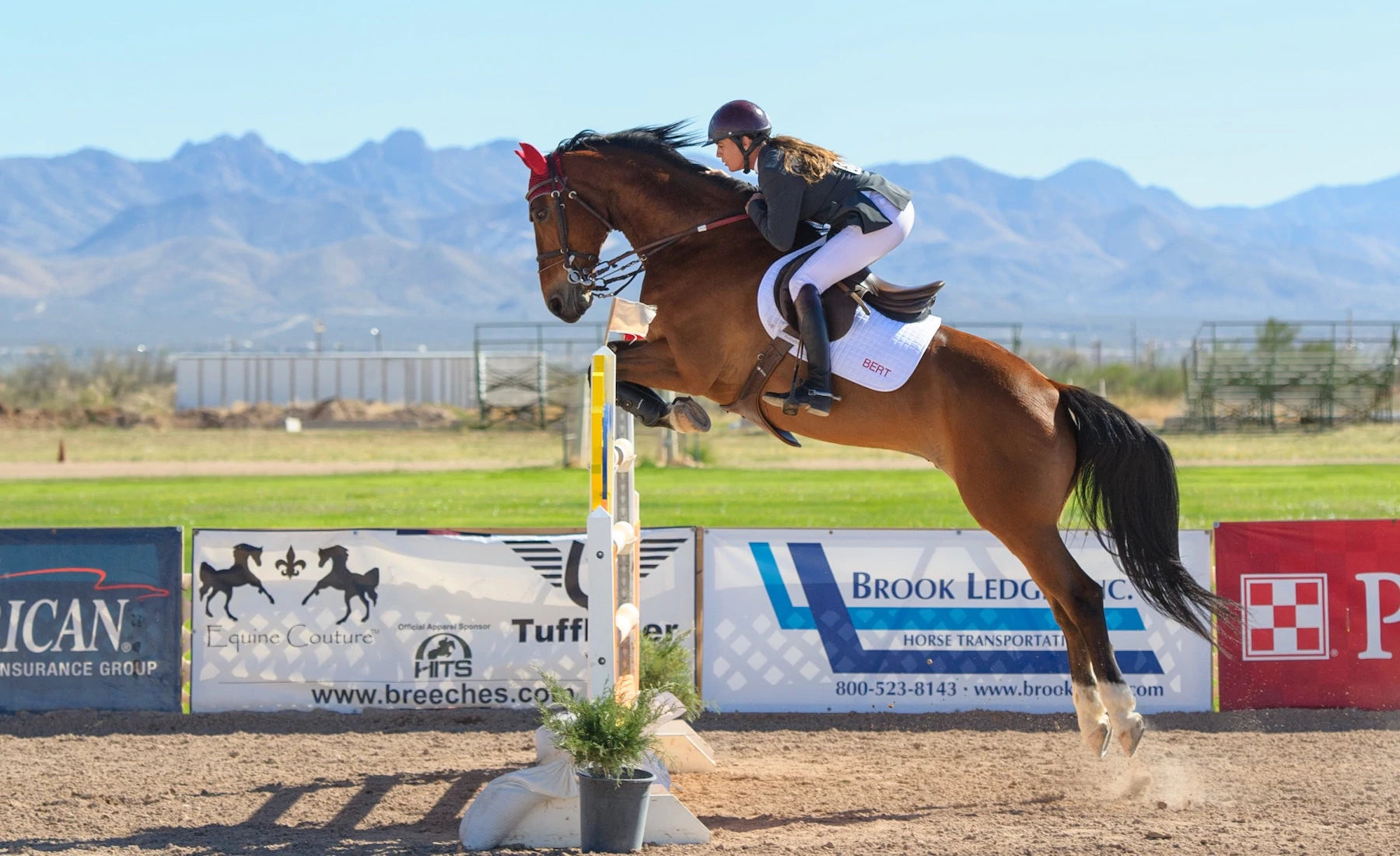 Just sales elegance jumpers