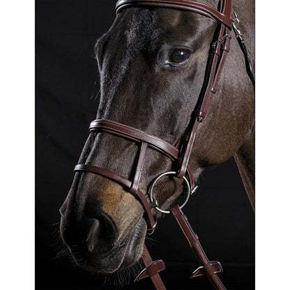 Equiline Double Noseband