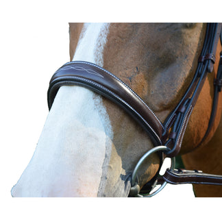 KL Select Hampton Hunter Bridle main image 1