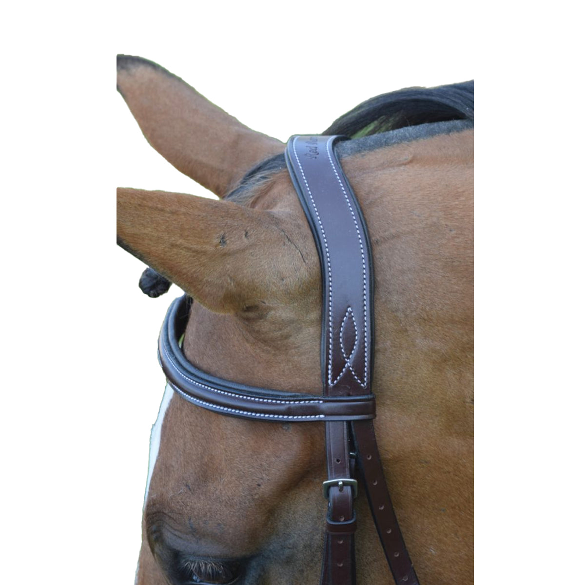 KL Select Hampton Hunter Bridle main image 0