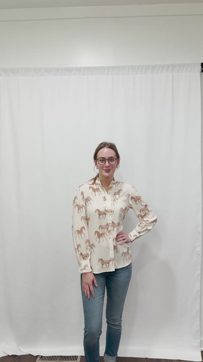 Ariat Women's Cricklade Long Sleeve Blouse