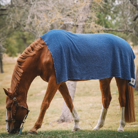 Sixteen Cypress  Cotton Waffle Horse Drying Towel, Indigo