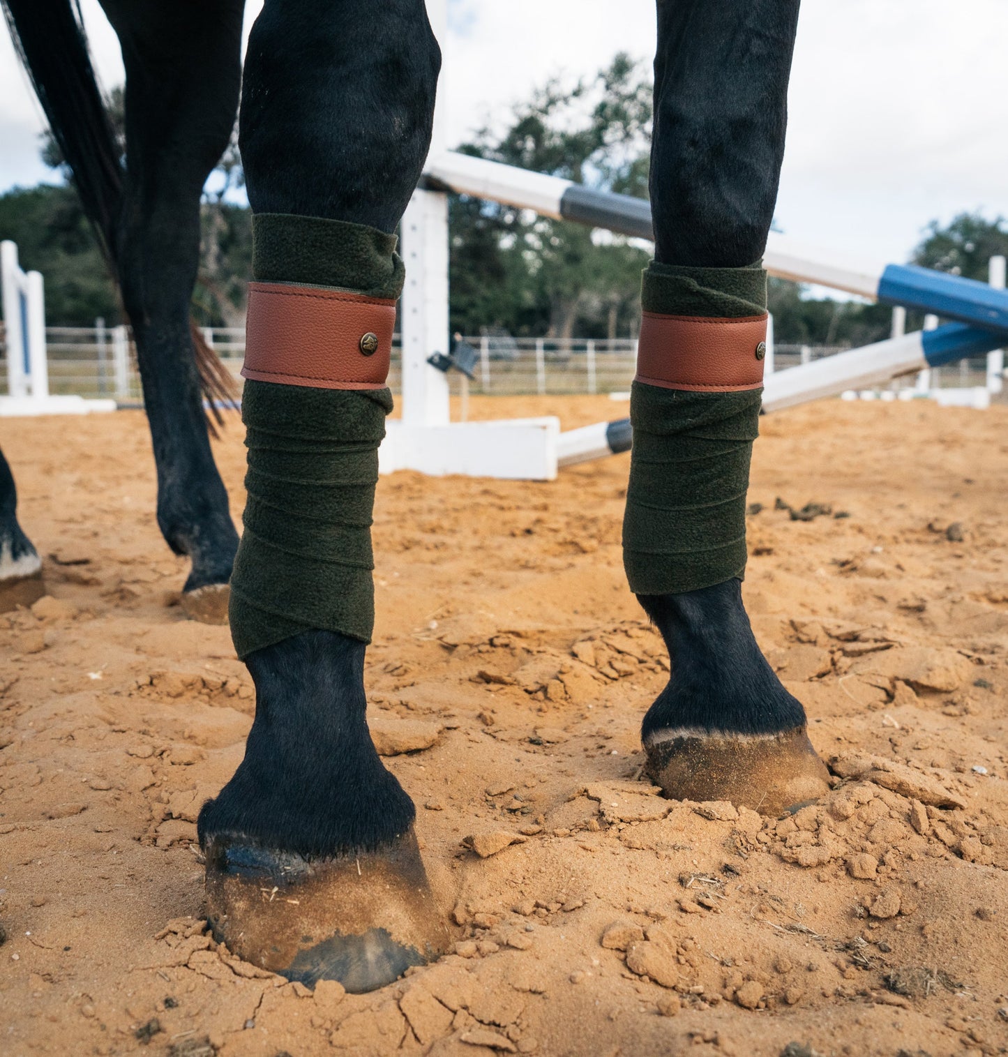 Sixteen Cypress  Leatherette Polos, Navy & Hickory
