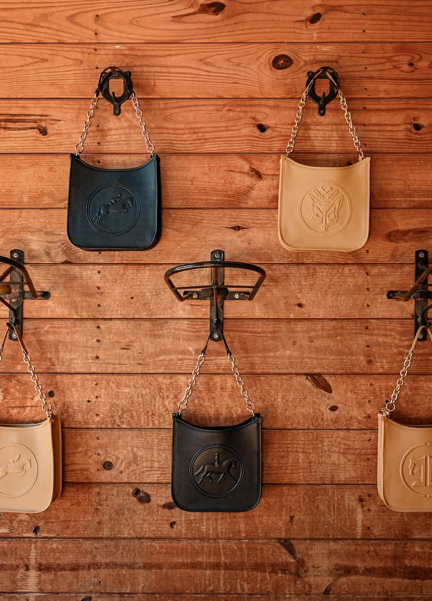 Tucker Tweed Middleburg Messenger, Dressage