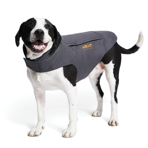 Ariat Team DuraCanvas Insulated Dog Jacket
