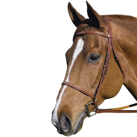 HDR Pro Fancy Raised Bridle with Laced Reins