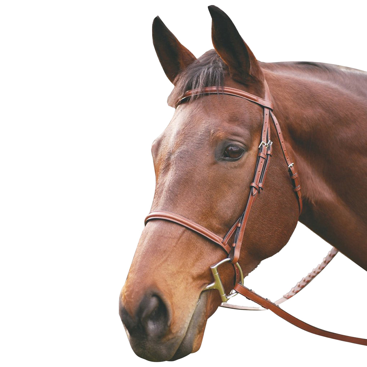 HDR Advantage Plain Raised Snaffle Bridle with Laced Reins