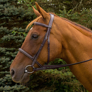 HDR Pro Mono Crown Padded Fancy Bridle