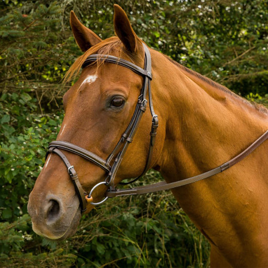 HDR Mono Crown Bridle with Flash and Rubber Reins