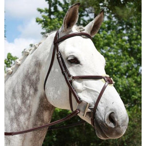 Red Barn by KL Select Equinox Figure 8 Bridle