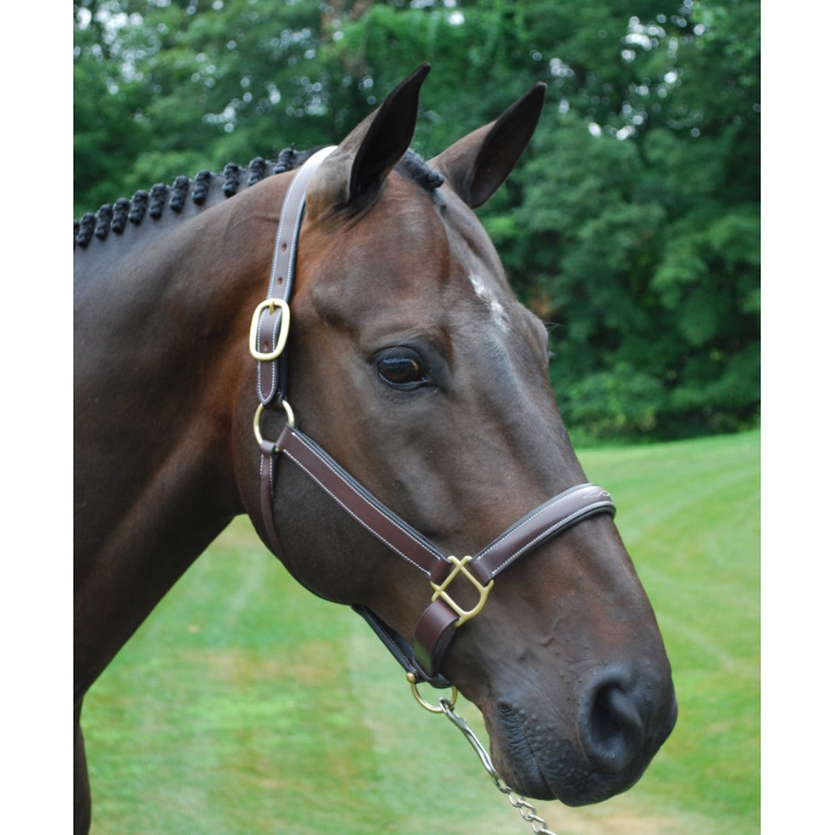 Red Barn by KL Select Halter Crown Replacement