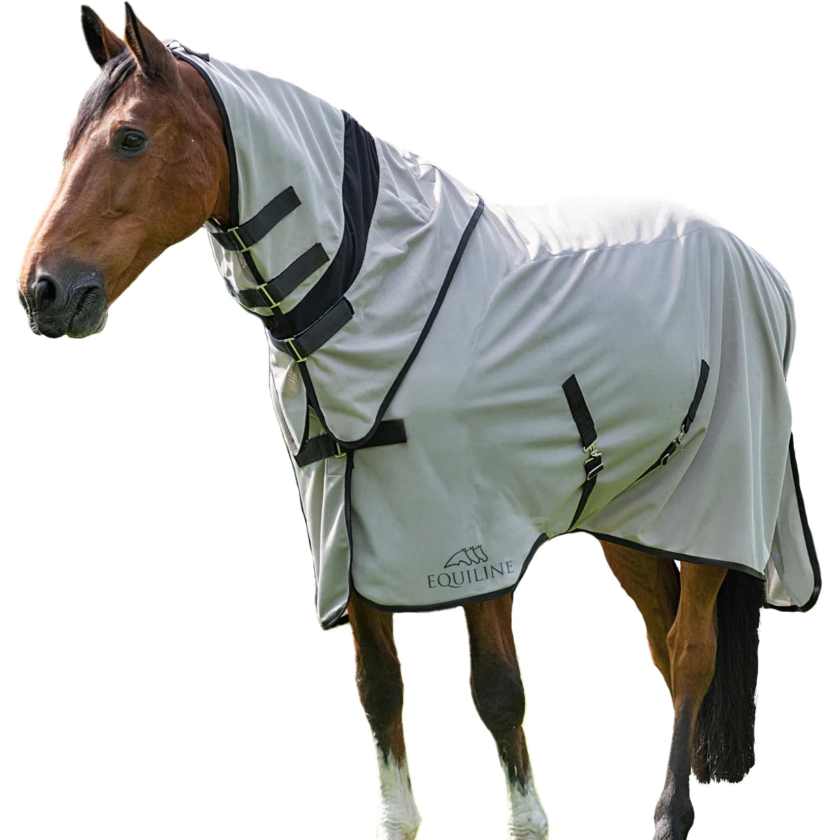 Equiline Lemonfly Fly Sheet with Detachable Neck