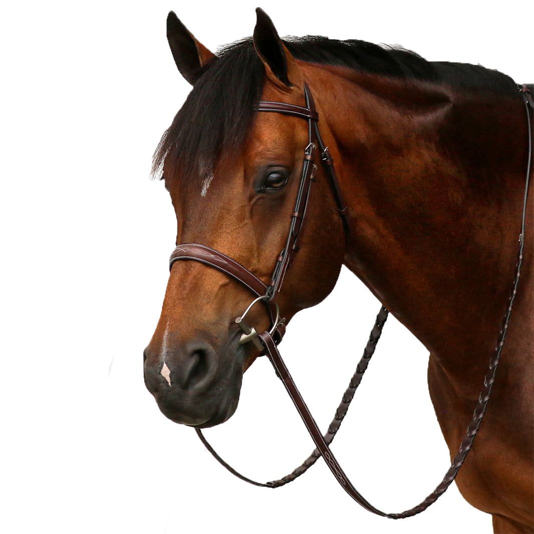 Hunter Bridles | Farm House Tack