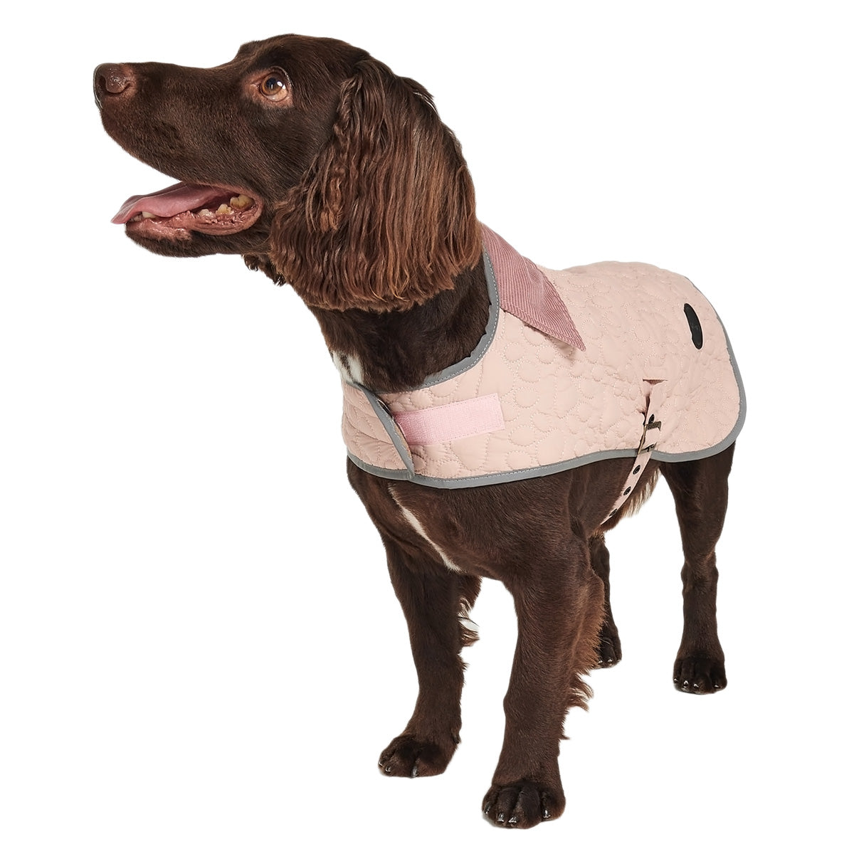 Barbour Paw Quilted Dog Coat Farm House Tack - Main Image