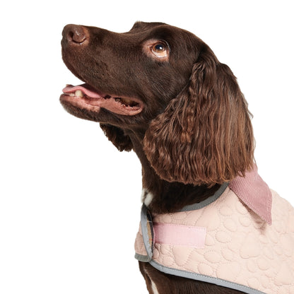 Barbour Paw Quilted Dog Coat