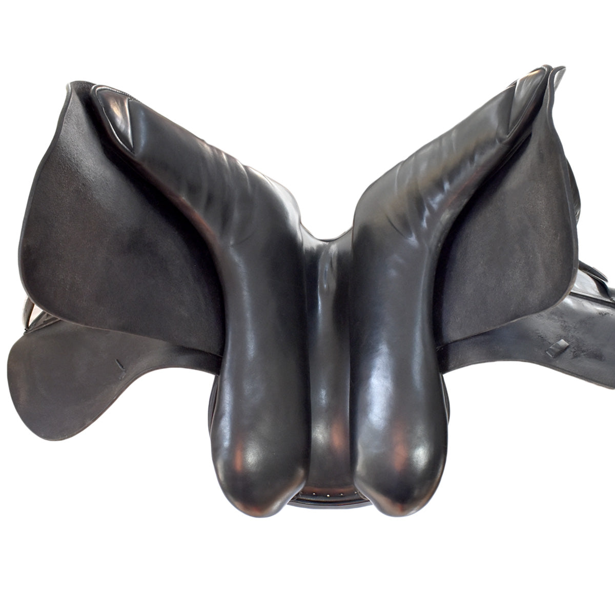 Passier® Anatomically Formed Leather Dressage Saddle Girth in Dressage Passier® Anatomically Formed Leather Dressage Saddle Girth in Dressage