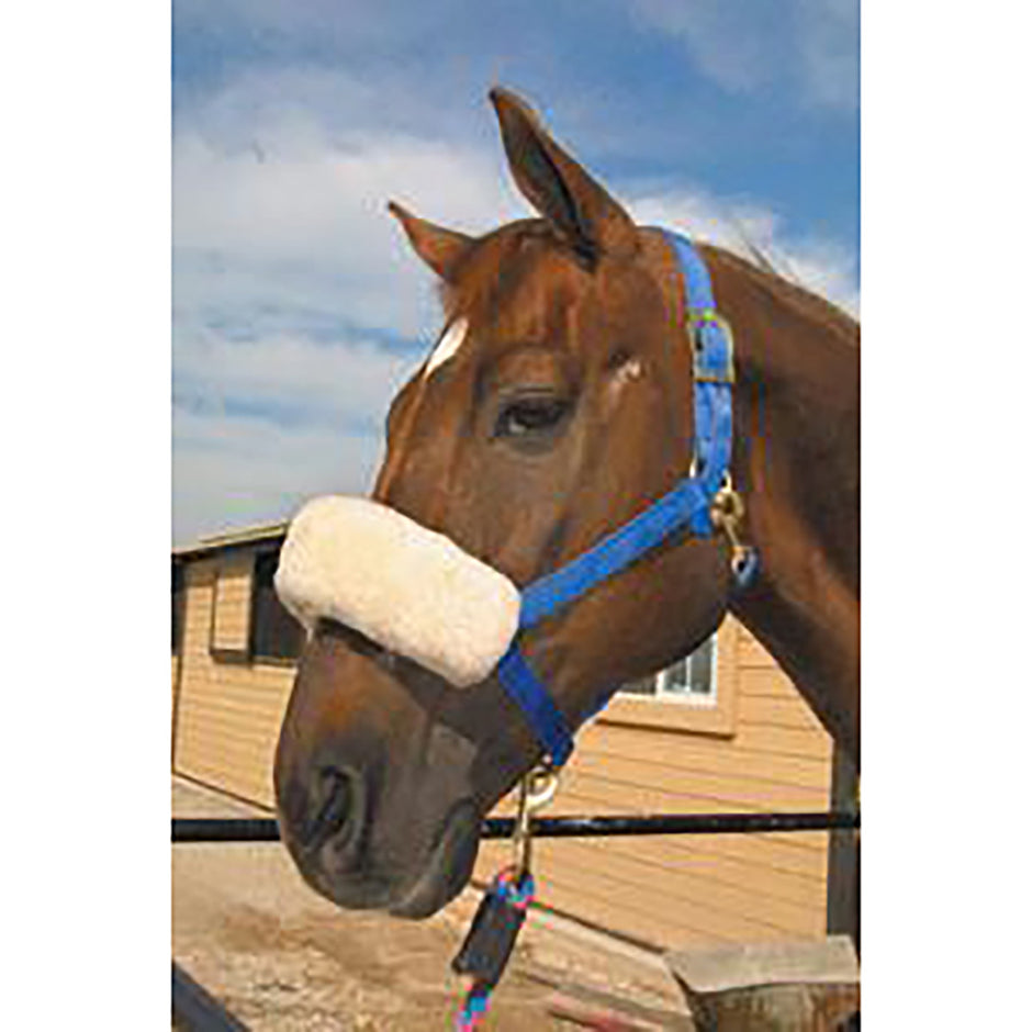 Halters Accessories & Replacement Parts The Farm House Farm House Tack