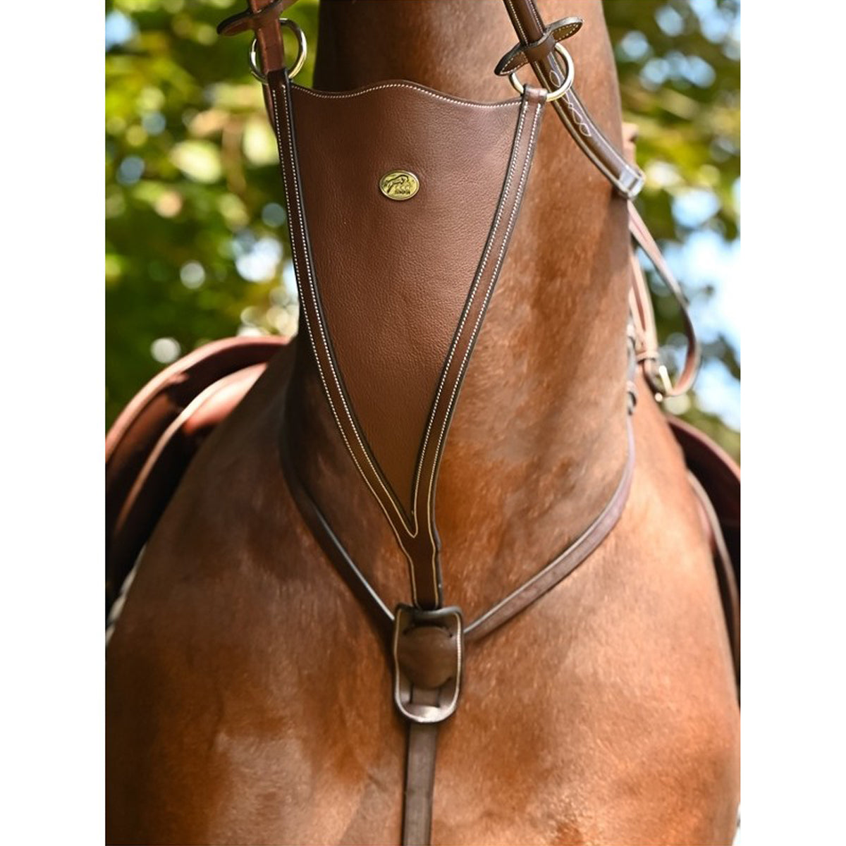 Penelope Store Running Martingale Havana