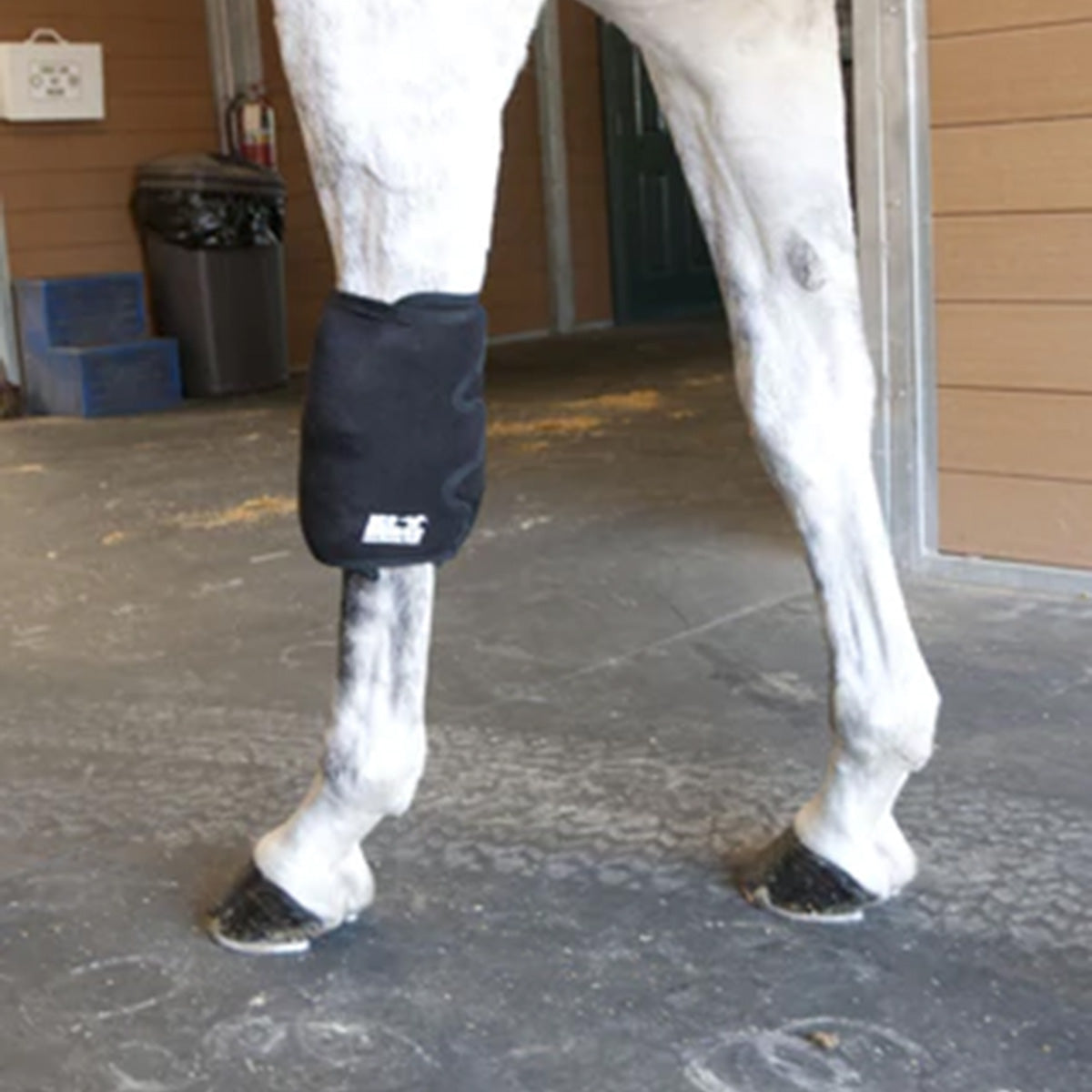 Ice Horse Knee Wrap
