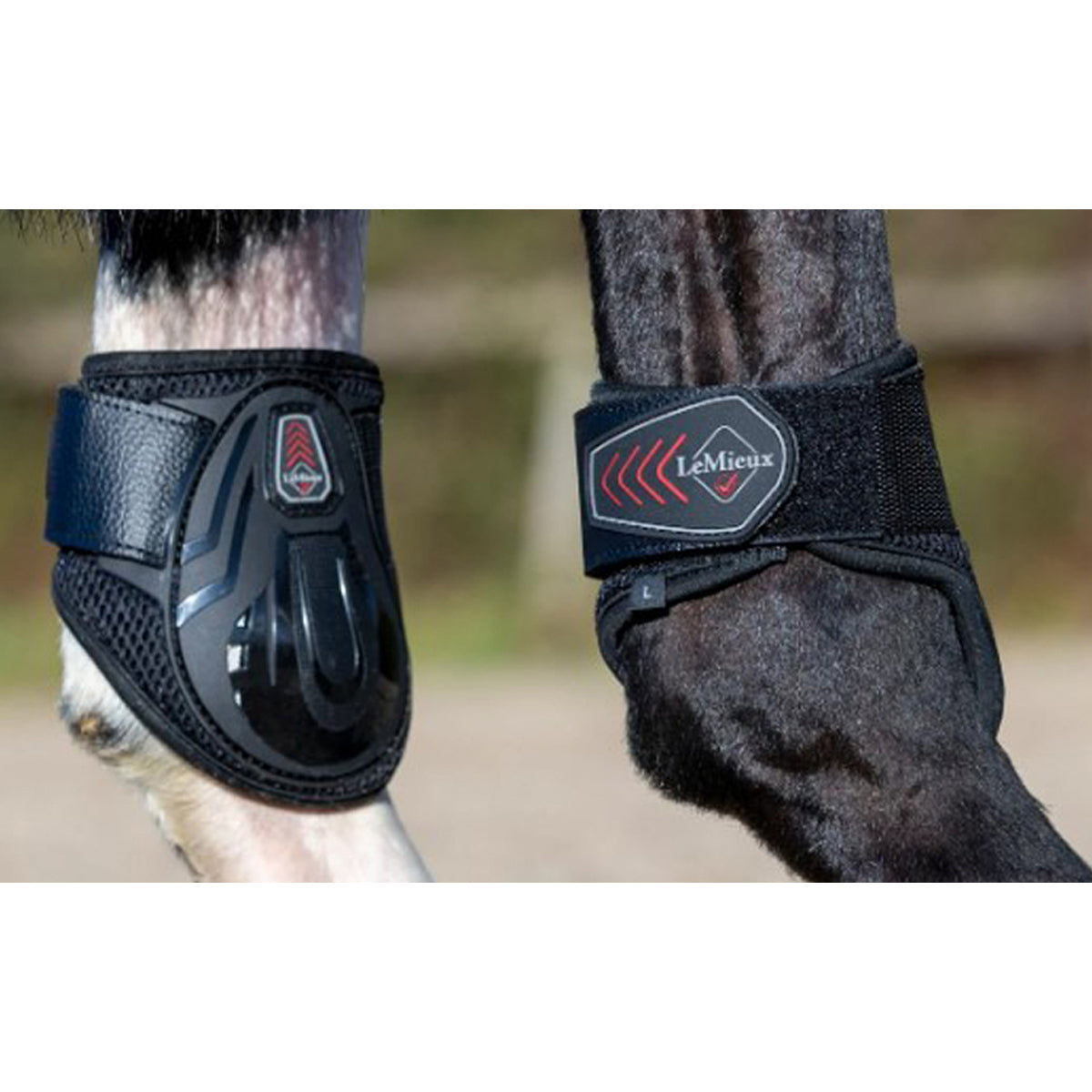 lemieux derby projump tendon boots
