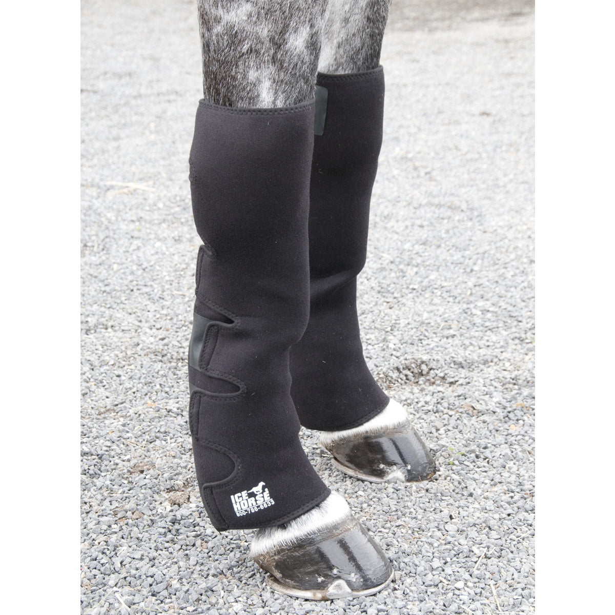 Ice Horse Knee to Ankle Wrap Farm House Tack - Main Image