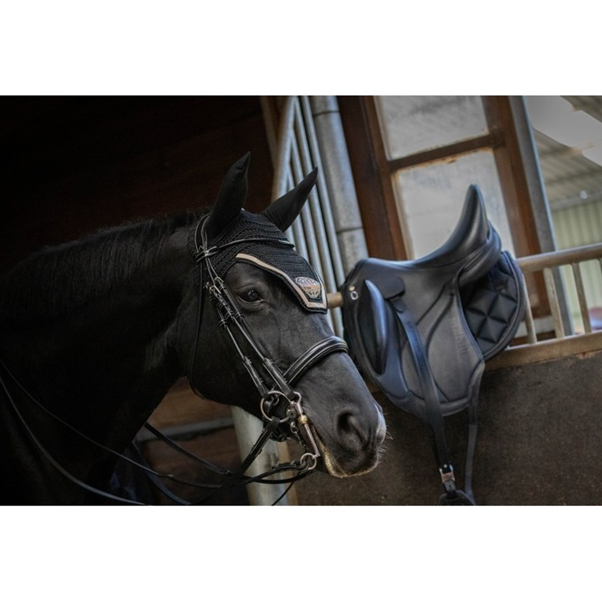 Jump'in Patent Double Bridle - Week Collection